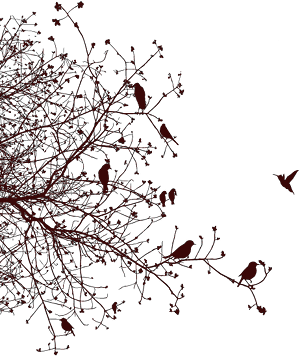 Birds on a tree